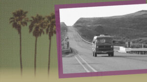 VW van and palm trees