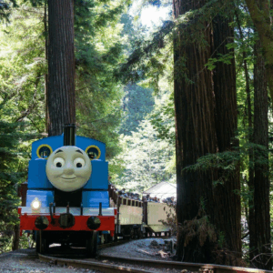 thomas train redwoods