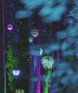 lamps hanging from tree night