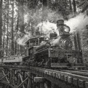 roaring camp