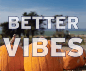 better vibes pumpkins