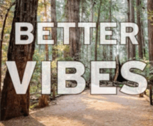better vibes redwoods