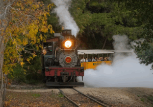 steam train fall trees